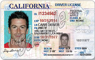 California Notary identification sample